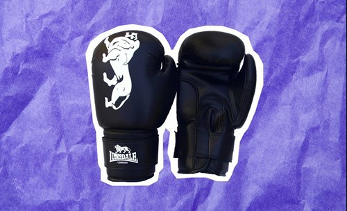 Boxing gloves